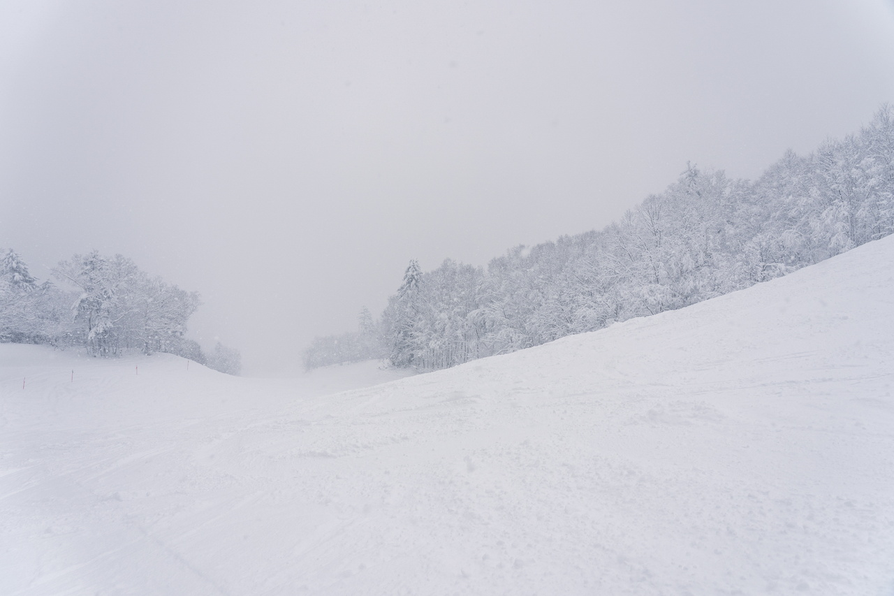 富良野スキー場｜数字以上に良い雪たっぷり！いよいよ『bonchi powder』本領発揮の季節到来です！